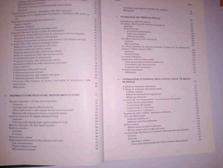Il controllo del movimento volontario dell'uomo