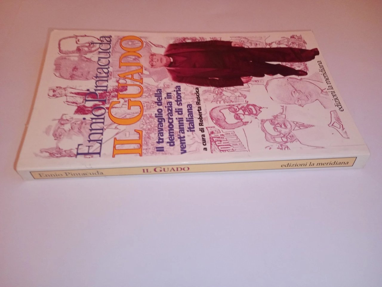 Il guado. Il travaglio della democrazia in 20 anni di …