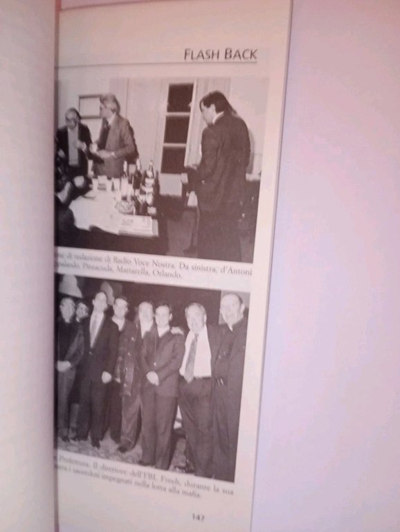 Il guado. Il travaglio della democrazia in 20 anni di …