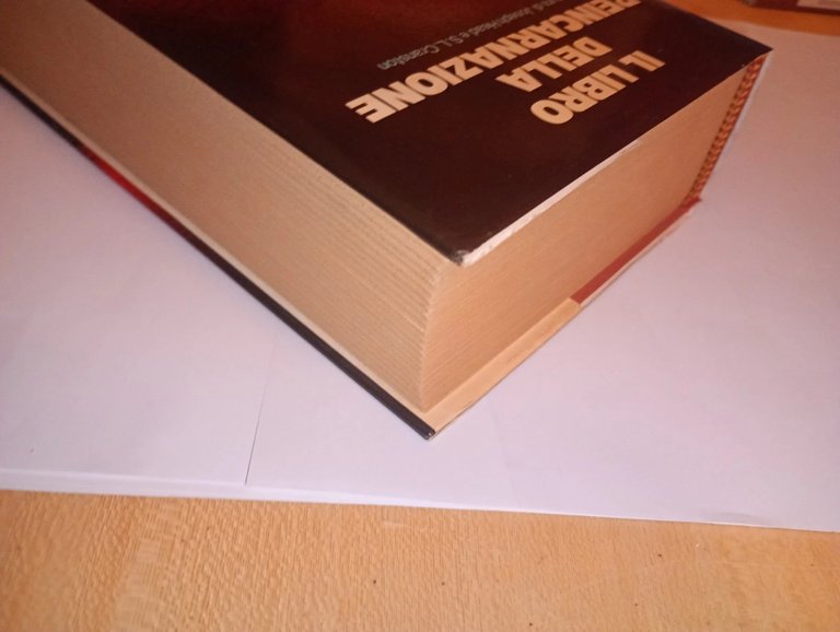 IL LIBRO DELLA REINCARNAZIONE