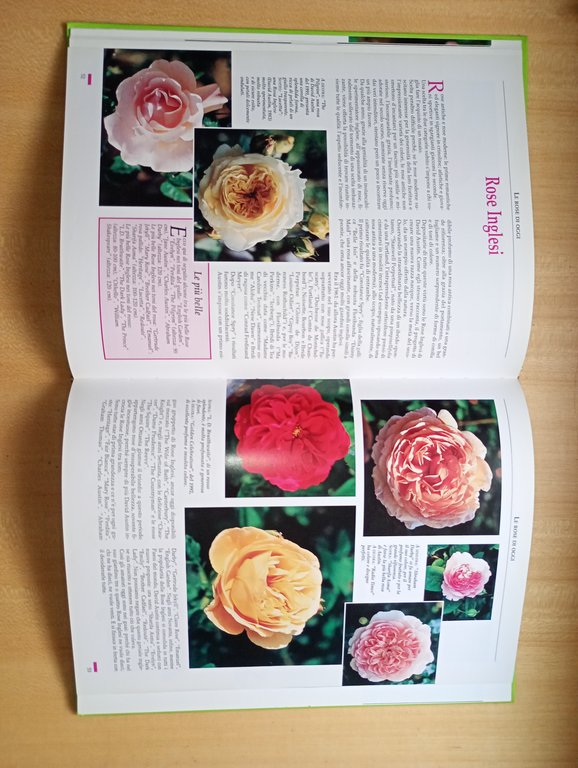 il libro delle rose. come riconoscerle, come coltivarle