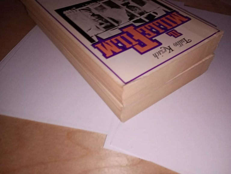 il millefilm. 10 anni al cinema 1967-1977