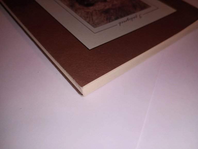 il mio cane Ciao e altre storie