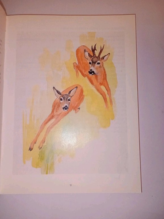 Il Patrimonio Capriolo | Immagine Gallery 3