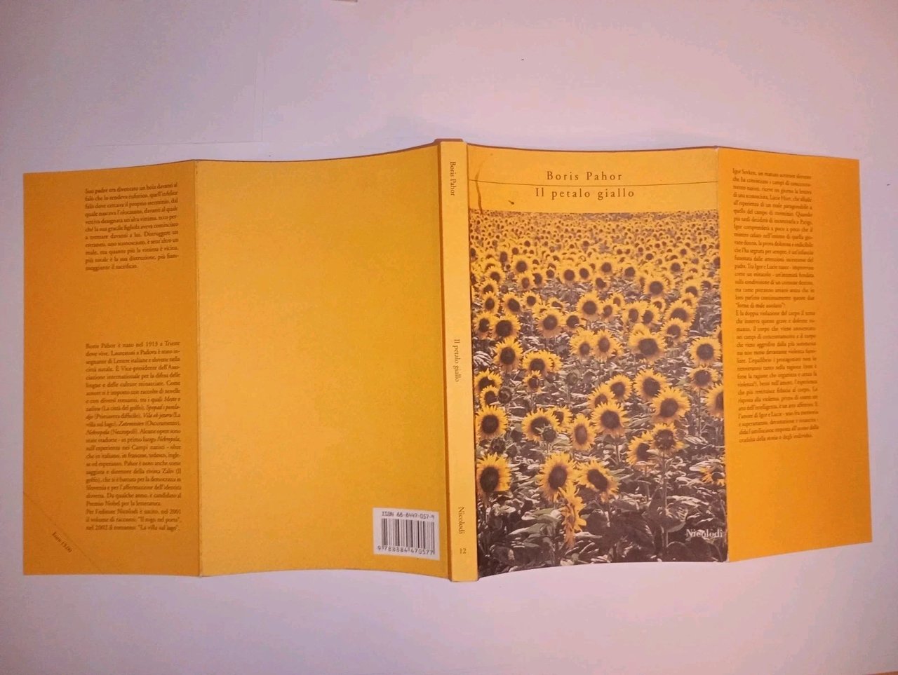 Il petalo giallo | Immagine principale