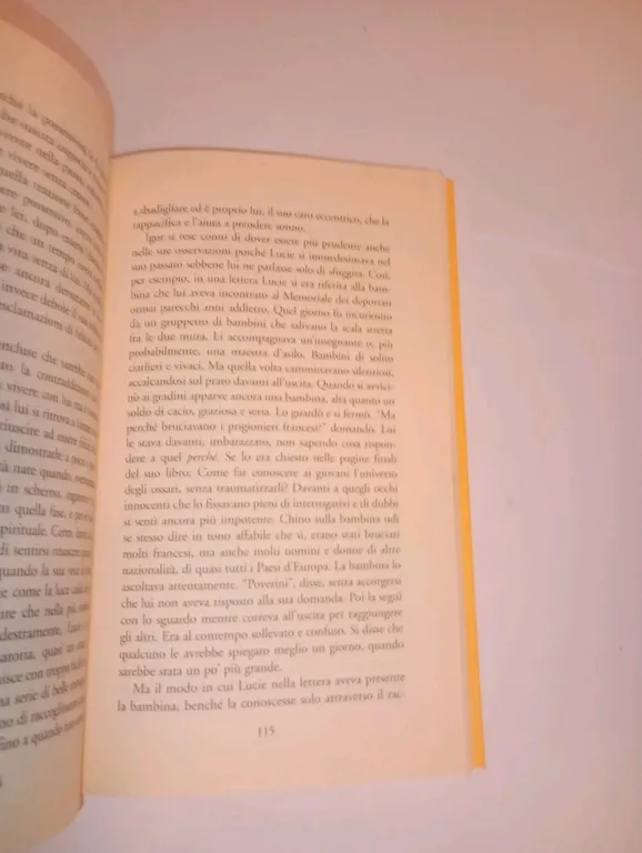Il petalo giallo | Immagine Gallery 2
