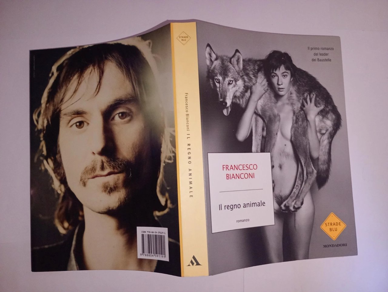 il regno animale (il primo romanzo del leader dei Baustelle) | Immagine principale