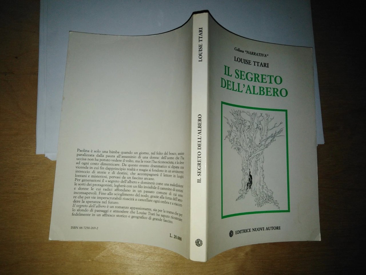 il segreto dell'albero | Immagine principale