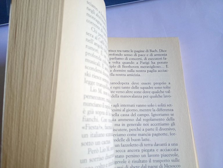 il violino rifugiato