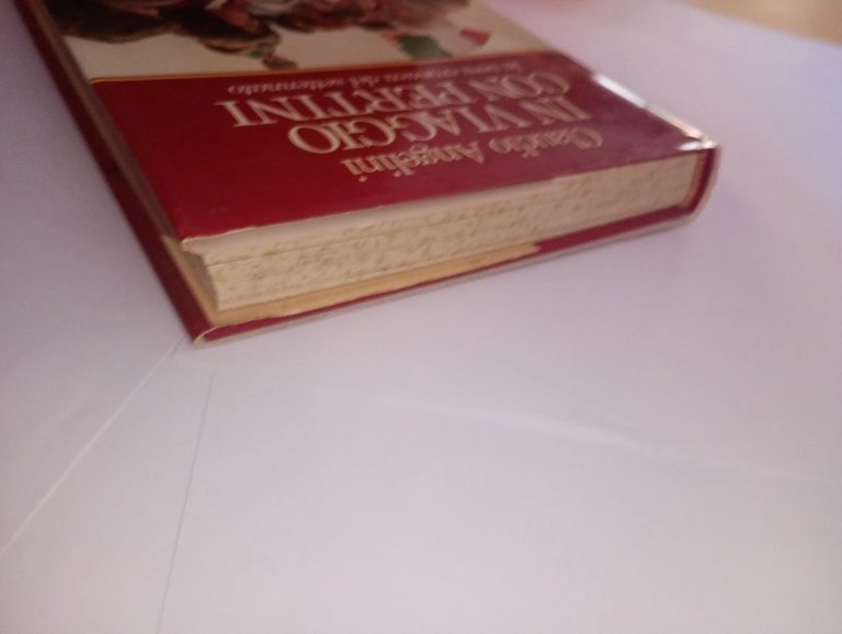 In viaggio con Pertini. Vera cronaca del settennato