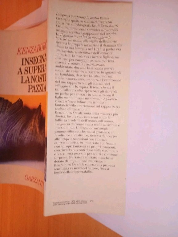 insegnaci a superare la nostra pazzia