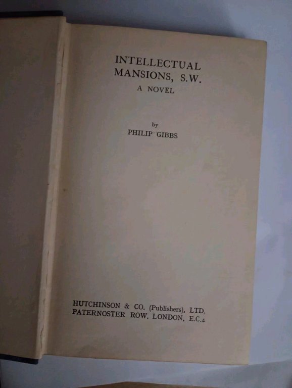 Intellectual mansions, S.W. a novel