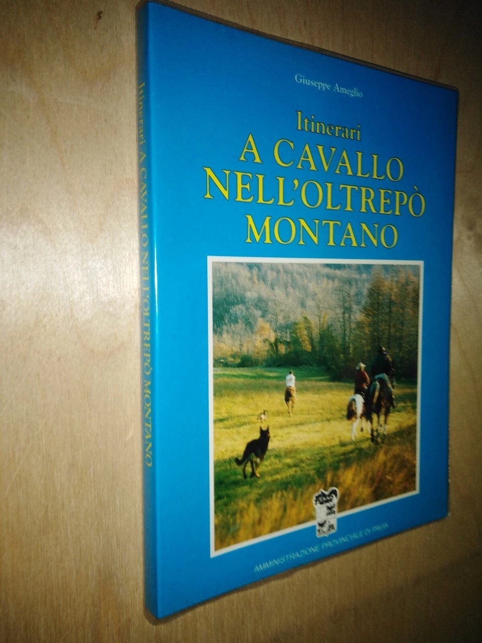 itinerari a cavallo nell'oltrepò montano