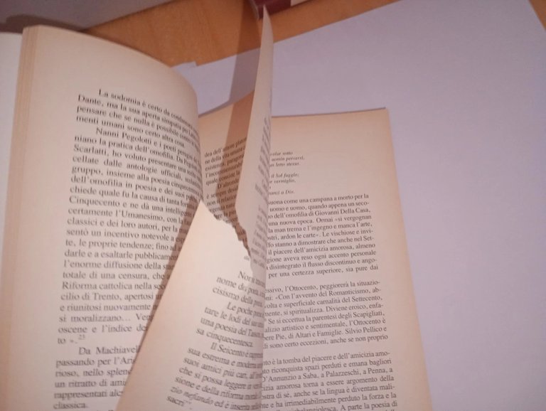 l'amicizia amorosa. Antologia della poesia omosessuale italiana dal XIII Secolo …