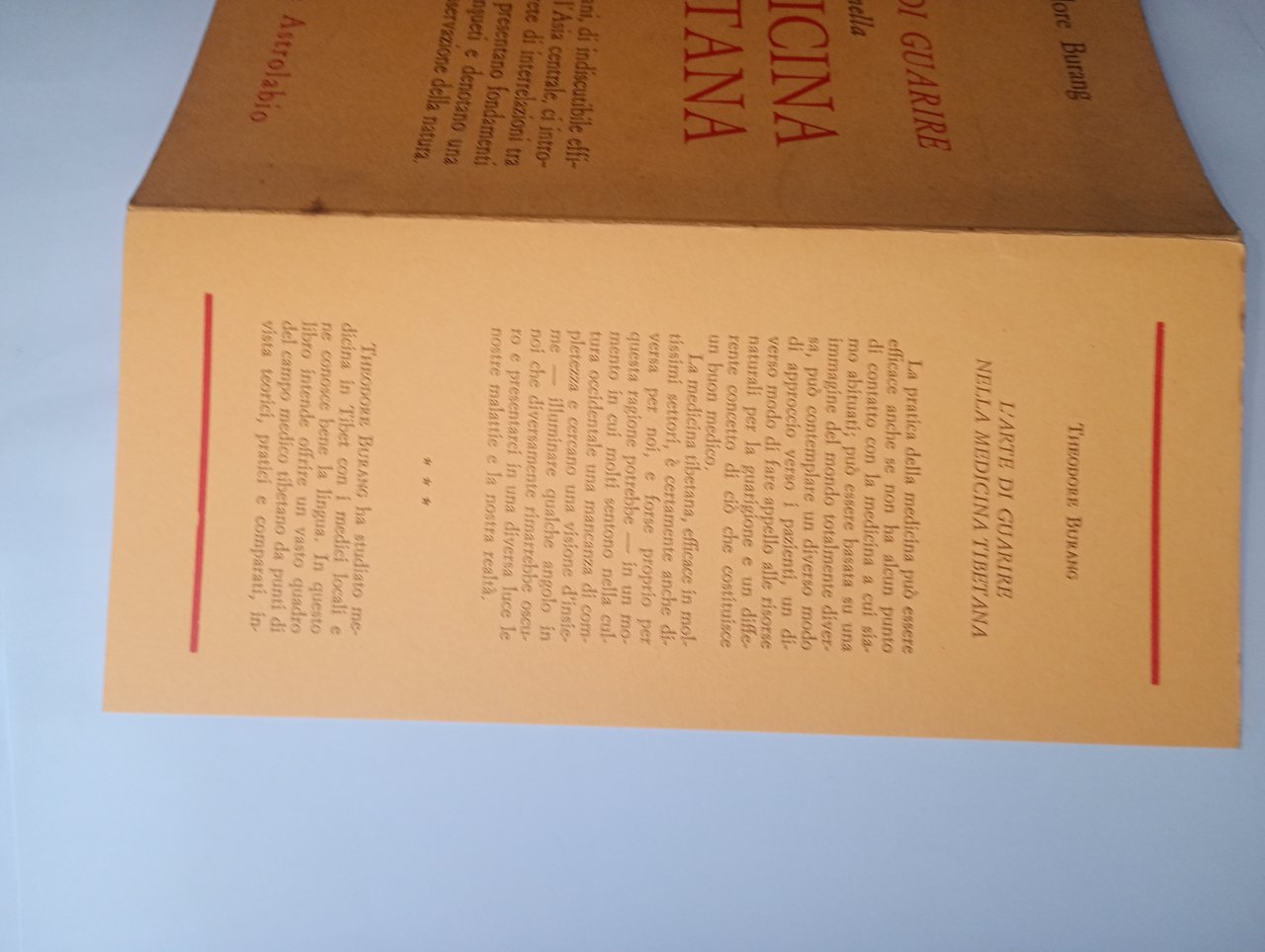 l'arte di guarire della medicina tibetana