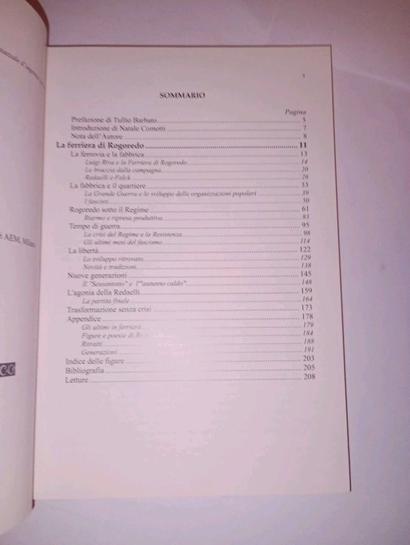 la ferriera di Rogoredo. ina comunità nel secolo dell'industria, 1886-1984