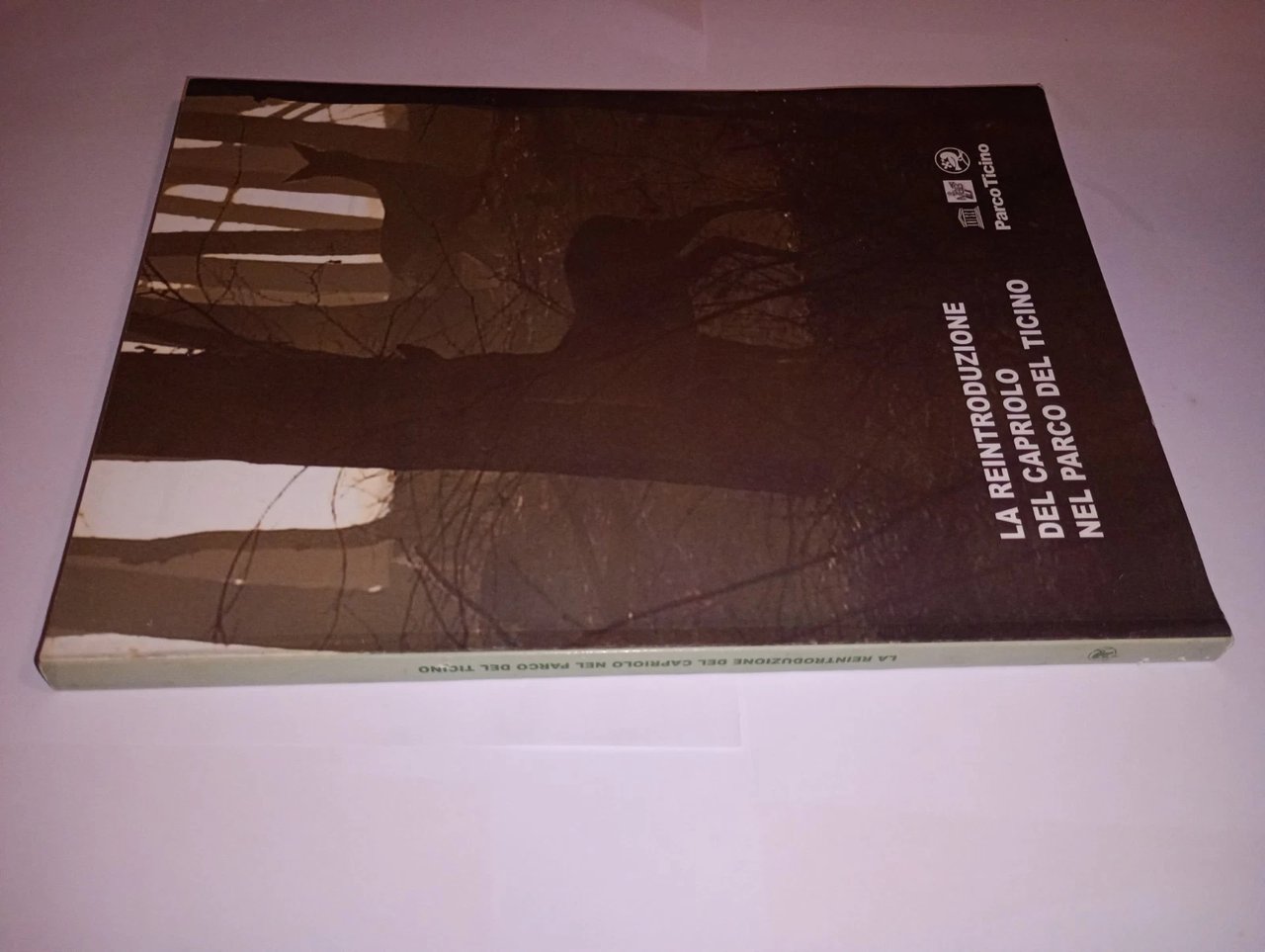 La reintroduzione del capriolo nel parco Ticino | Immagine principale