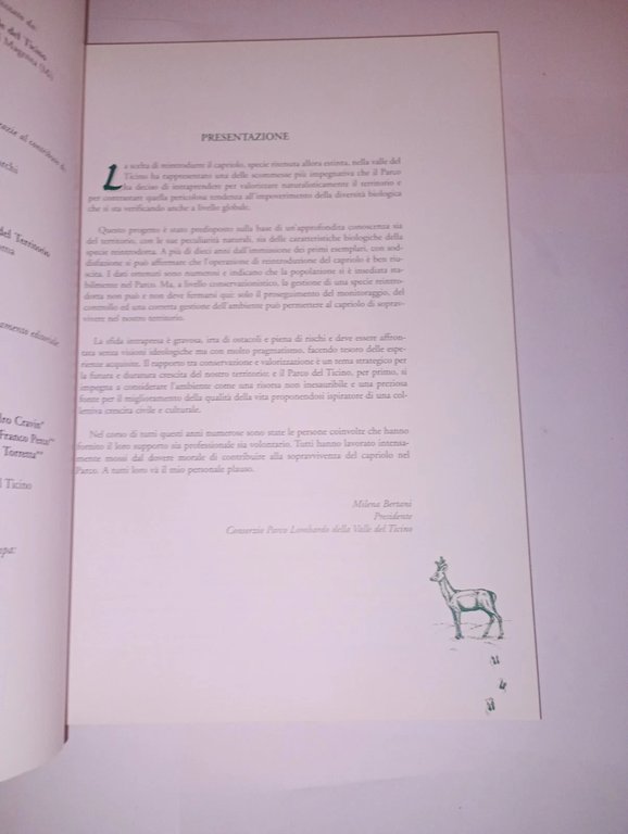 La reintroduzione del capriolo nel parco Ticino | Immagine Gallery 2