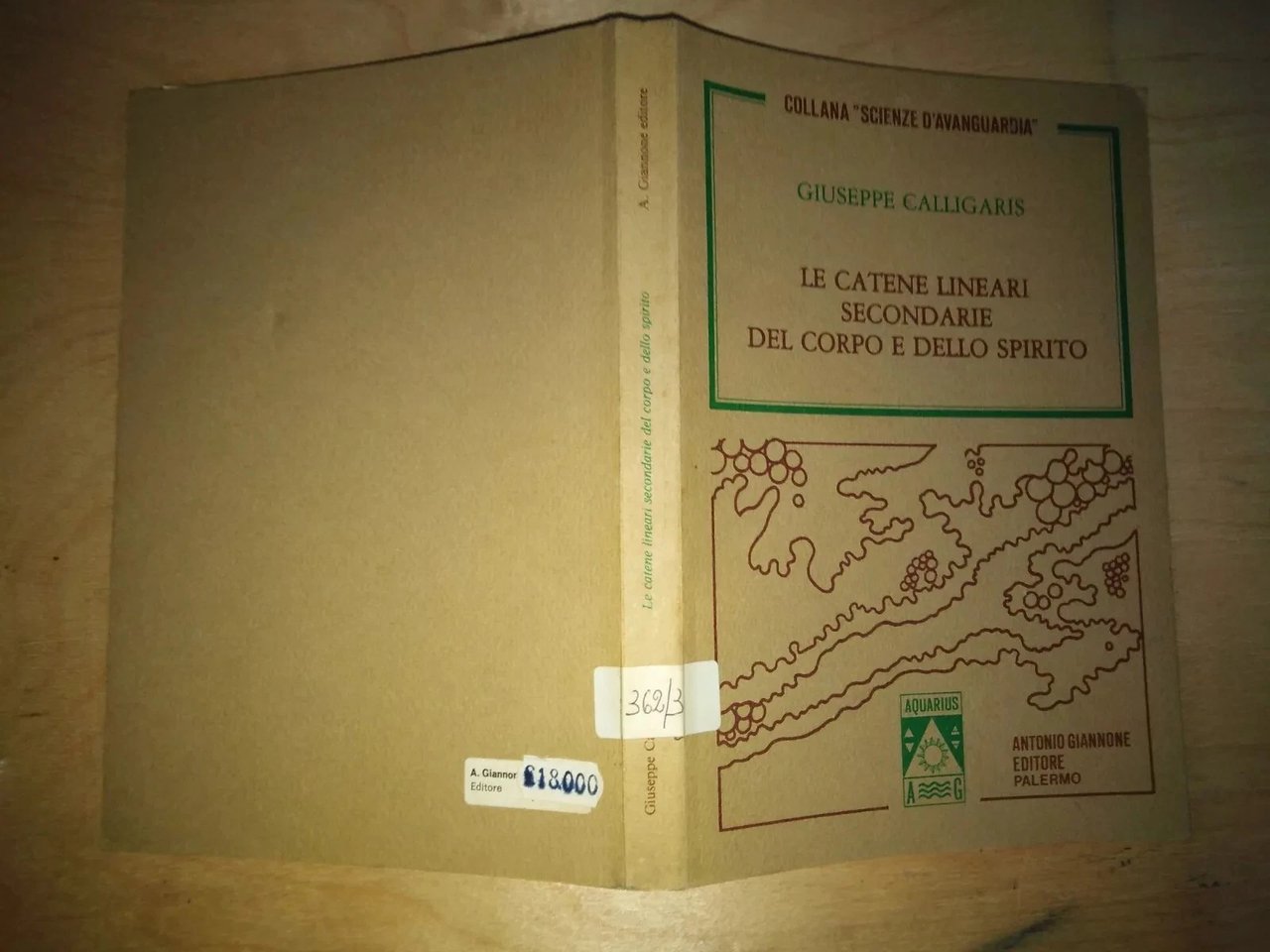 le catene lineari secondarie del corpo e dello spirito