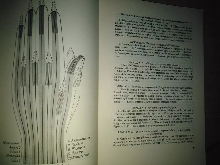 le catene lineari secondarie del corpo e dello spirito