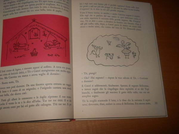 le straordinarie avventure di Caterina