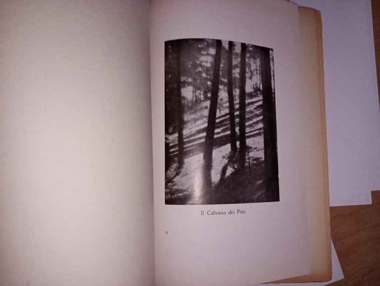 leggende dell'altipiano di Piné