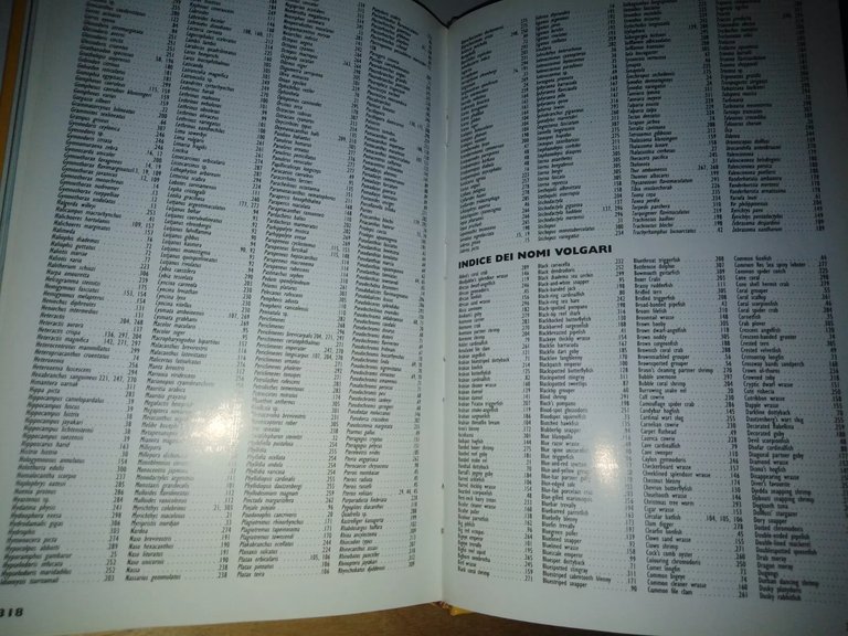 Mar Rosso. Guida alla fauna corallina