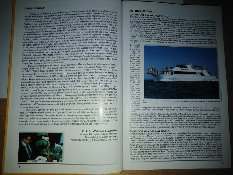 Mar Rosso. Guida alla fauna corallina