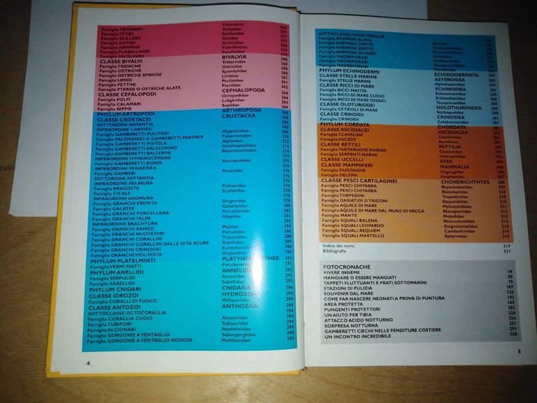 Mar Rosso. Guida alla fauna corallina