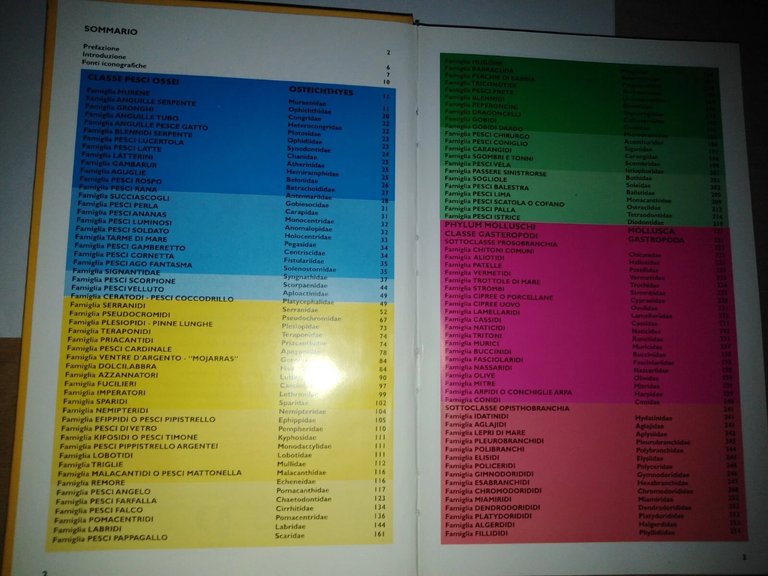 Mar Rosso. Guida alla fauna corallina