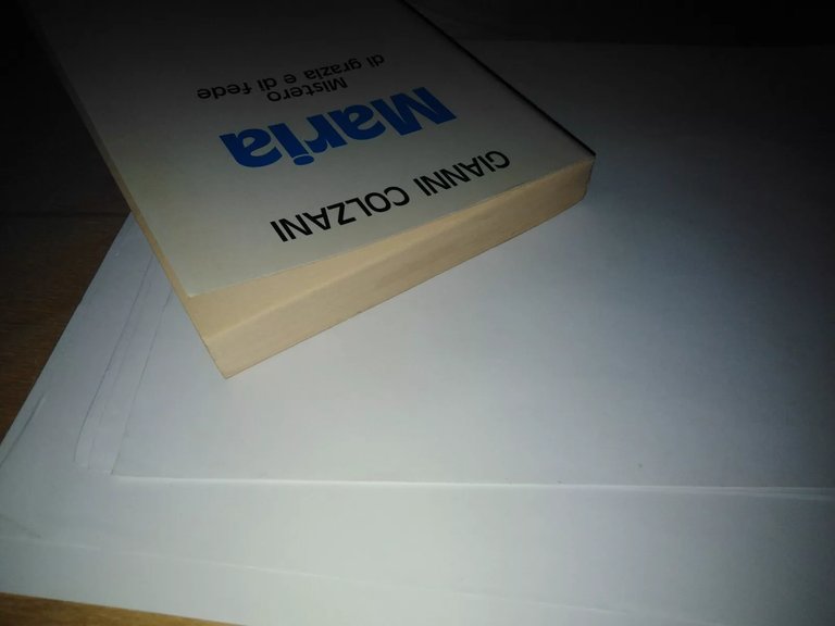 Maria. mistero di grazia e di fede