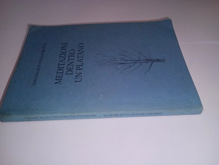 Meditazioni dentro un platano | Immagine Gallery 2