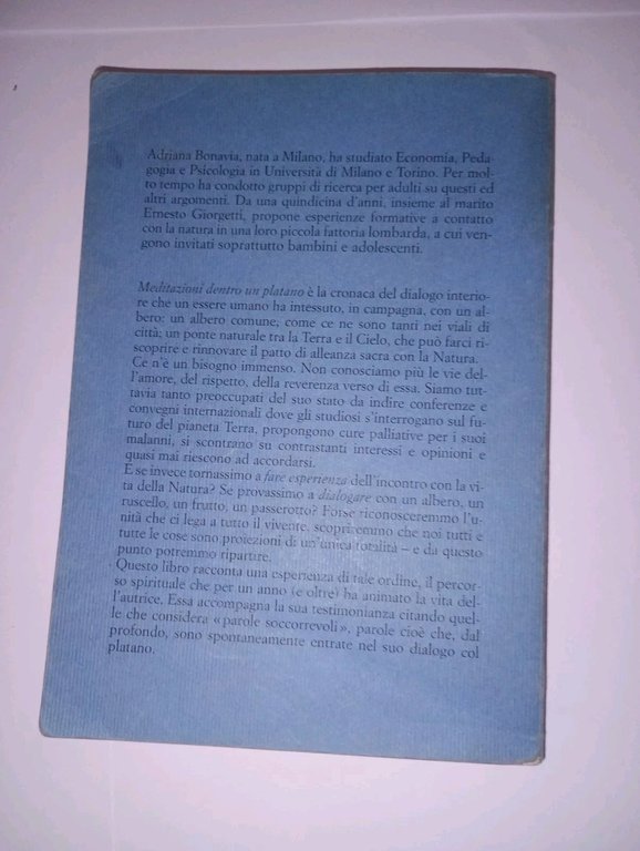 Meditazioni dentro un platano | Immagine Gallery 3