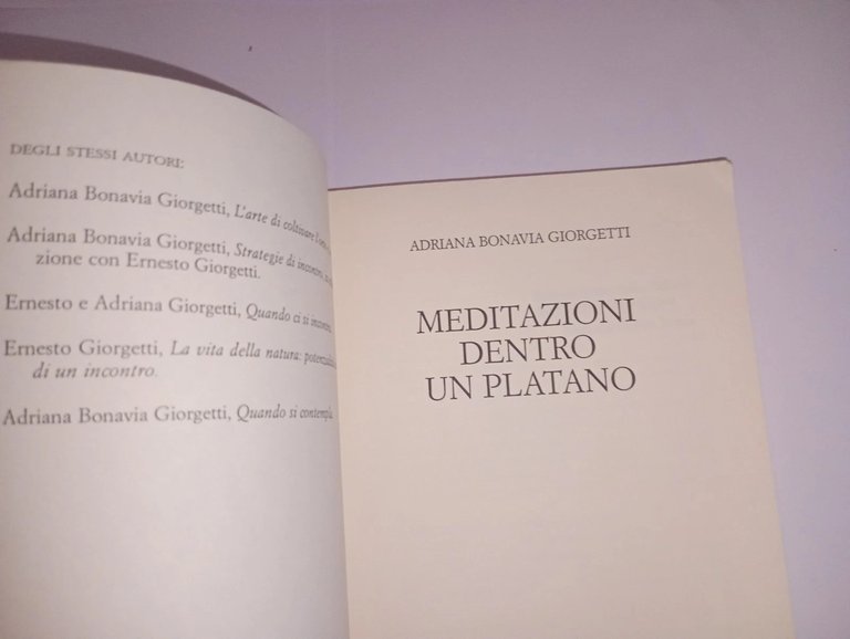 Meditazioni dentro un platano | Immagine Gallery 5