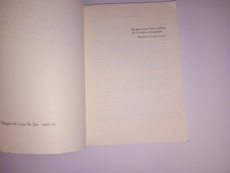 Meditazioni dentro un platano | Immagine Gallery 6