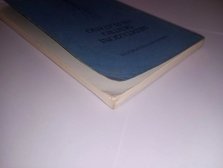 Meditazioni dentro un platano | Immagine Gallery 8