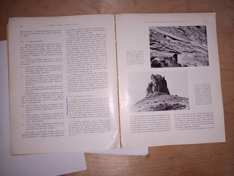 MEMORIE della SOCIETÀ GEOLOGICA ITALIANA - VOL. XIII - 1974 …