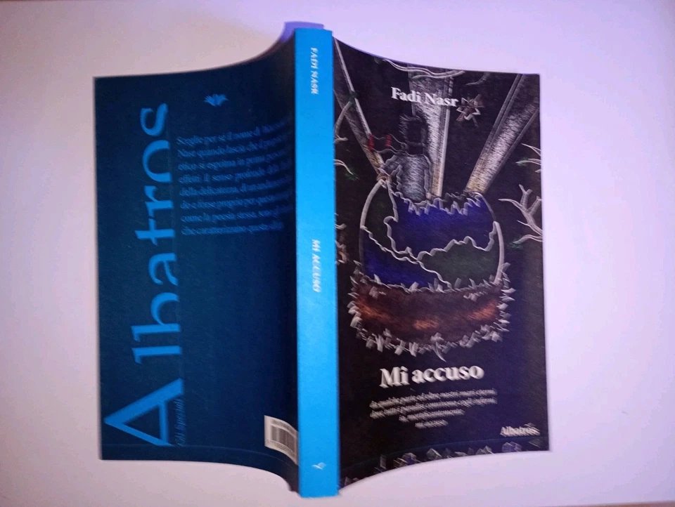 Mi accuso.il racconto di oltre 100 poesie