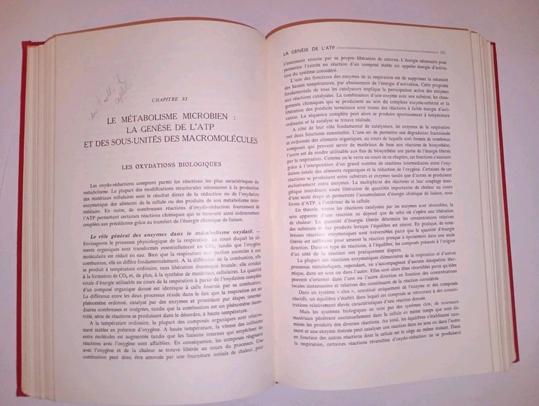 Microbiologie générale