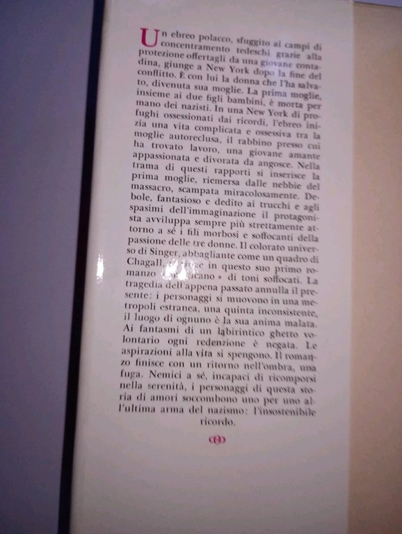 Nemici. una storia d'amore