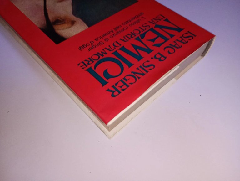 Nemici. una storia d'amore