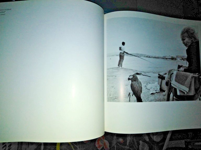 NOCONFINES. Una mostra viaggiante e un’ asta benefica, fotografi di …