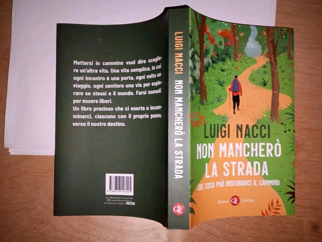 non mancherò la strada. che cosa può insegnarci il cammino | Immagine principale