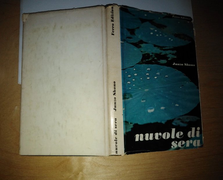 Nuvole di sera | Immagine Gallery 2