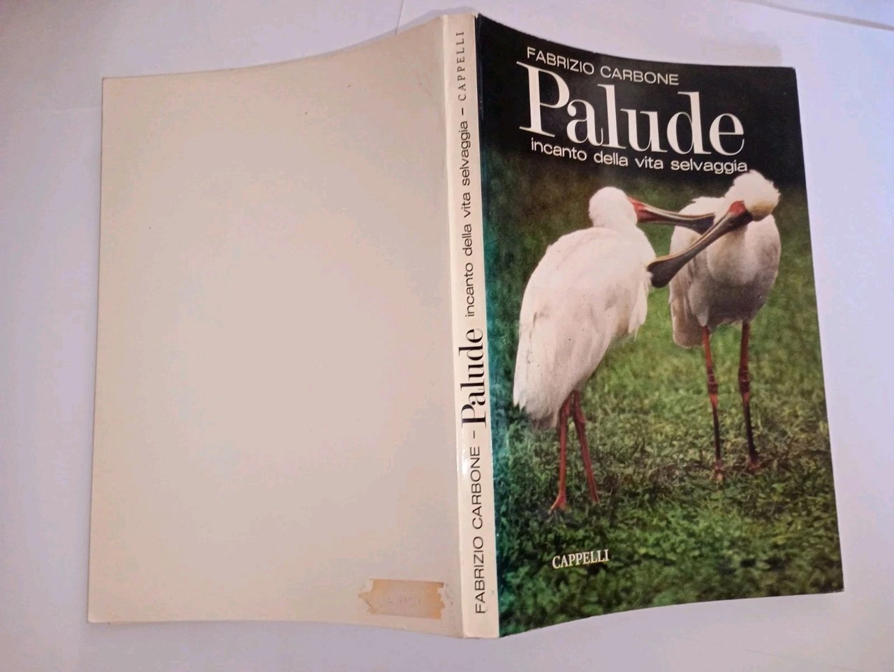 Palude. incanto della vita selvaggia