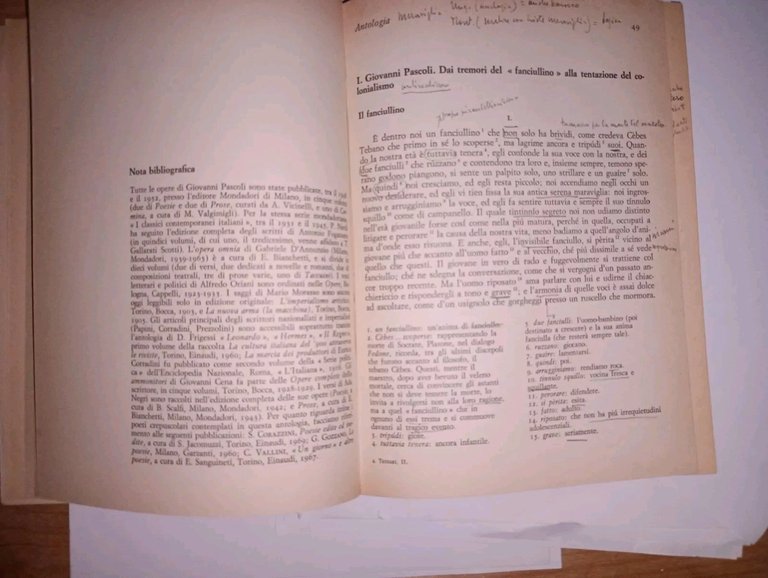 Pascoli, D'Annunzio, Fogazzaro e il decadentismo italiano. Irrazionalismo e crisi …