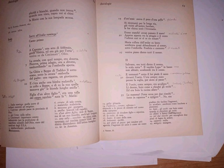Pascoli, D'Annunzio, Fogazzaro e il decadentismo italiano. Irrazionalismo e crisi …
