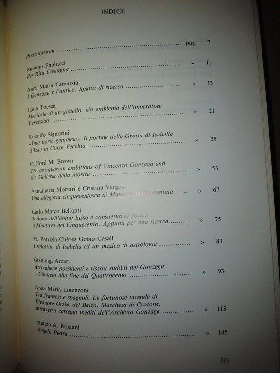 Per Mantova una vita. studi in memoria di RITA CASTAGNA