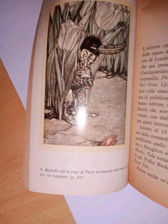 Peter Pan nei giardini di Kensington