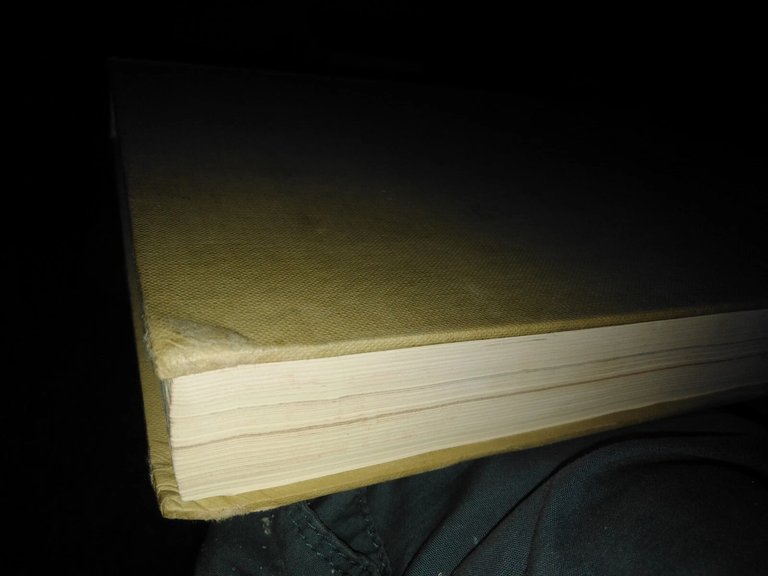 PIAZZE e PALAZZI COMUNALI di TODI